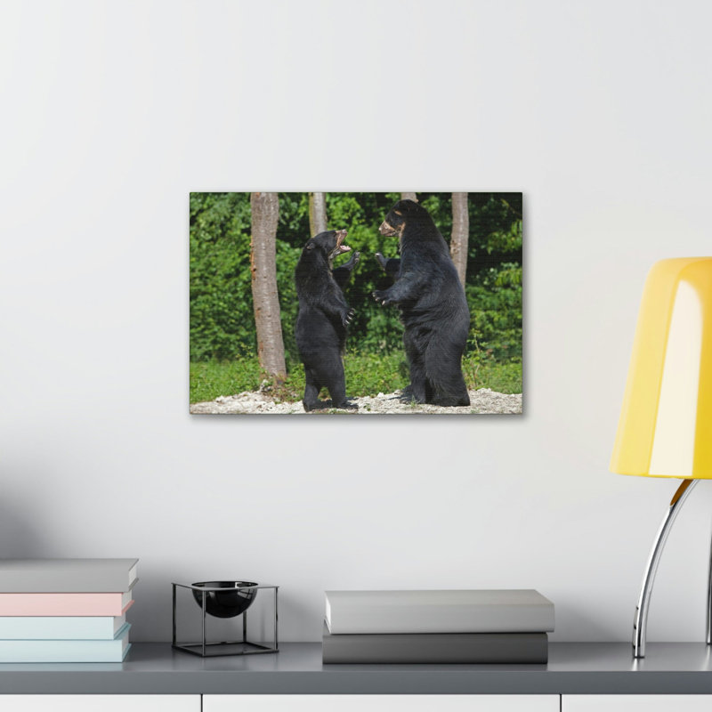 No Frame Print on Canvas, 30.48cm H x 40.64cm W