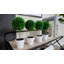 Ensemble de 4 buis artificiels en pot-531310442-531310444