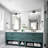 Schuykill LED Vanity Light