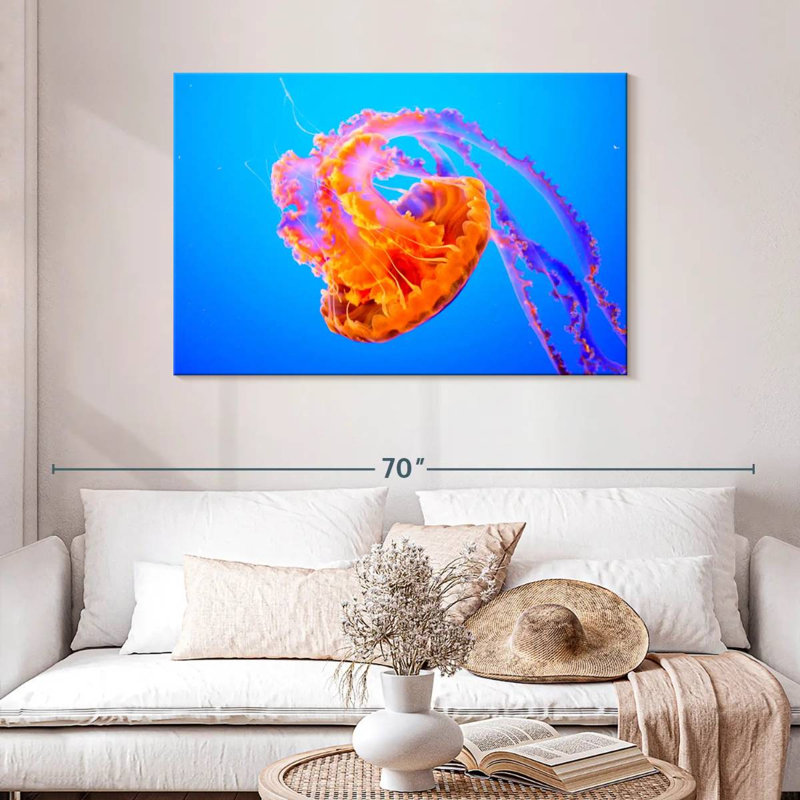 Somersault Brampt Jellyfish, H 30 po x l 45 po