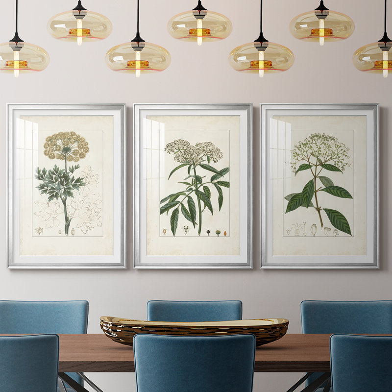 Antique Turpin Botanical VII - reproduction sur mesure encadrée de qualité supérieure - 3 pièces, Argent argent