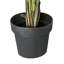 Faux Palm Tree in Pot-261391350