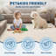 Tapis de salon Minimalist-1030850837-1007518682