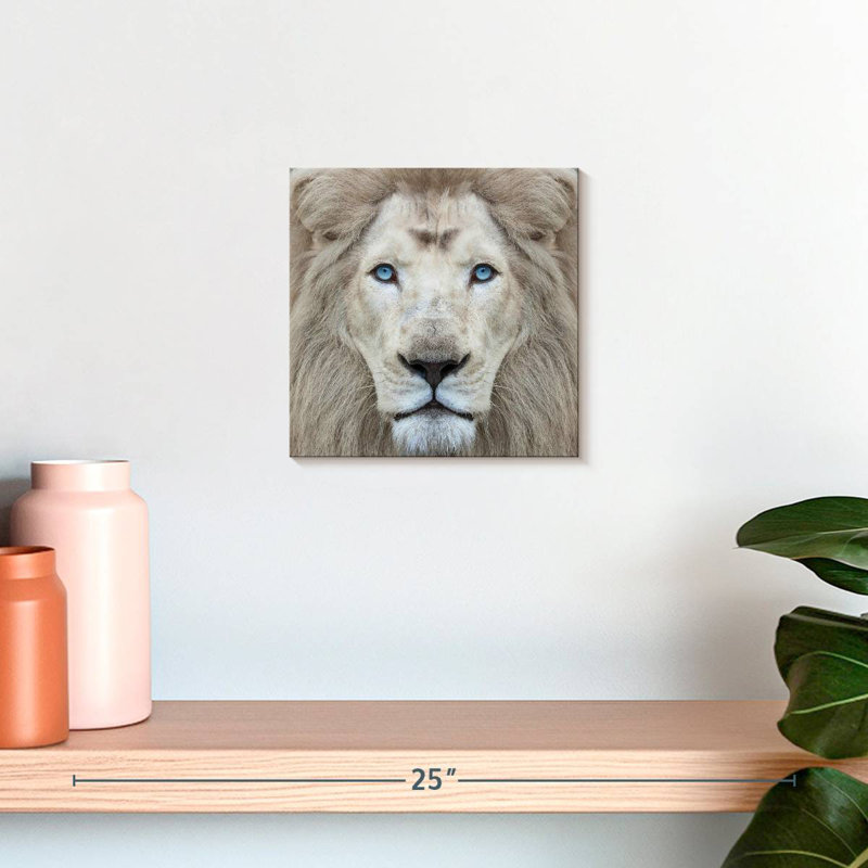 Brampt Exotic Lion, 10" H x 10" W