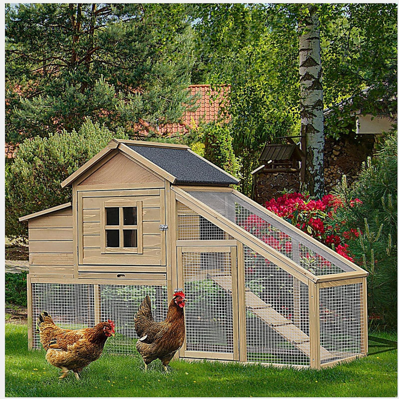 Poulailler en bois 69 po PawHut, poulailler en cage avec rampe de connexion, plateau amovible, fenêtre ventilée et nichoir, naturel