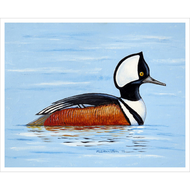 Hooded Merganser Polyester Wall Hanging