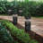 Black Low Voltage Solar Powered Integrated LED Bollard Light