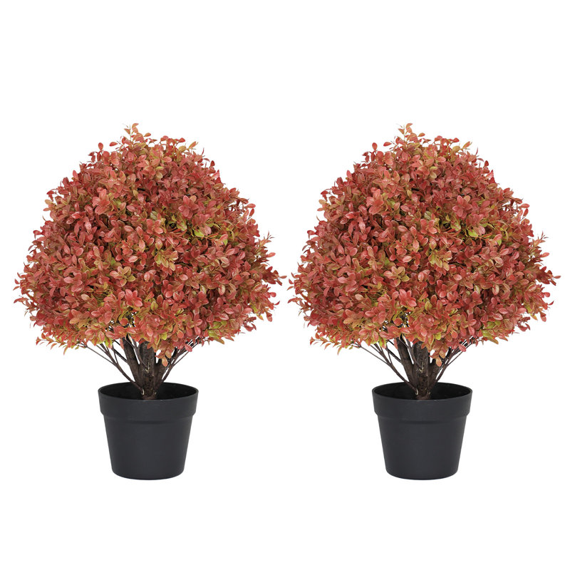 Arbre en pot 24 po, Vert à pointe rouge