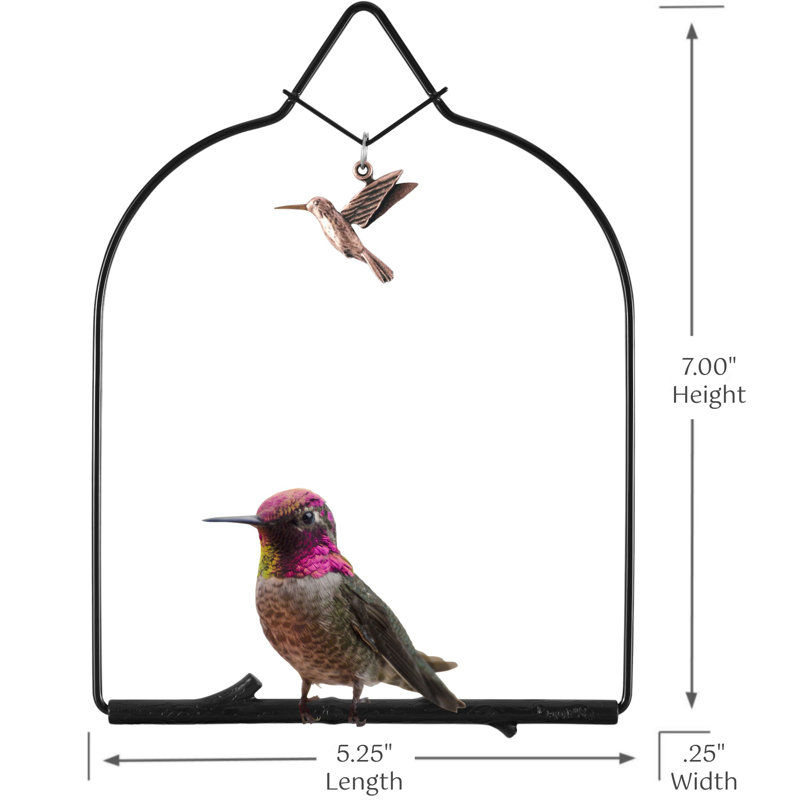 Devos Charm Hummingbird Swing, Onyx