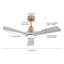 Jhamarion 42" Modern LED Ceiling Fan Chandelier with Remote-2092615410