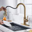 Blue Elephant Pull Down Kitchen Faucet-367607300