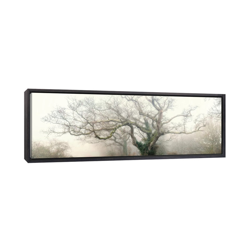 « Ghost Oak » par Philippe Manguin-reproduction de photo panoramique sur toile, H 20 po x l 60 po x P 1,5 po