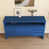Bleu est en rupture de stock