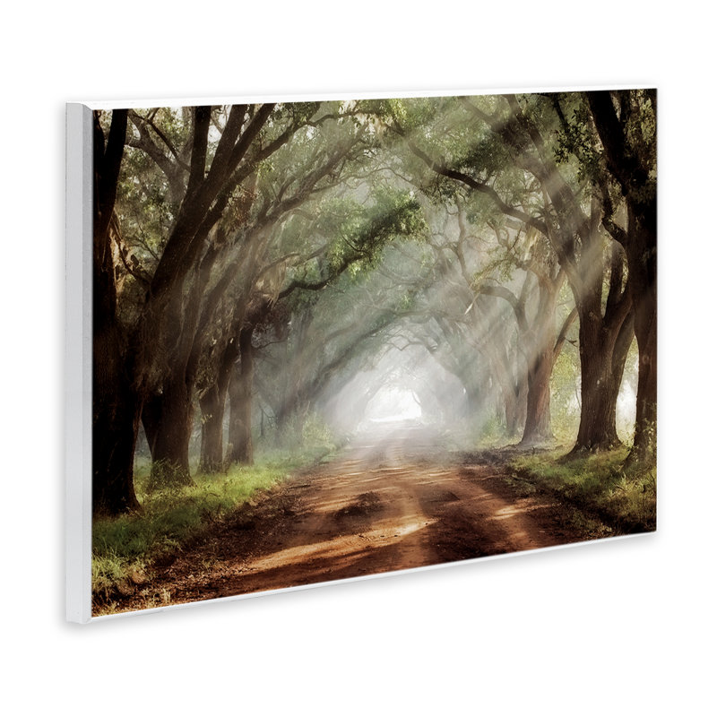 Sunlit Evergreen Grove Wall Plaque, design by Mike Jones, 10" H x 15" W