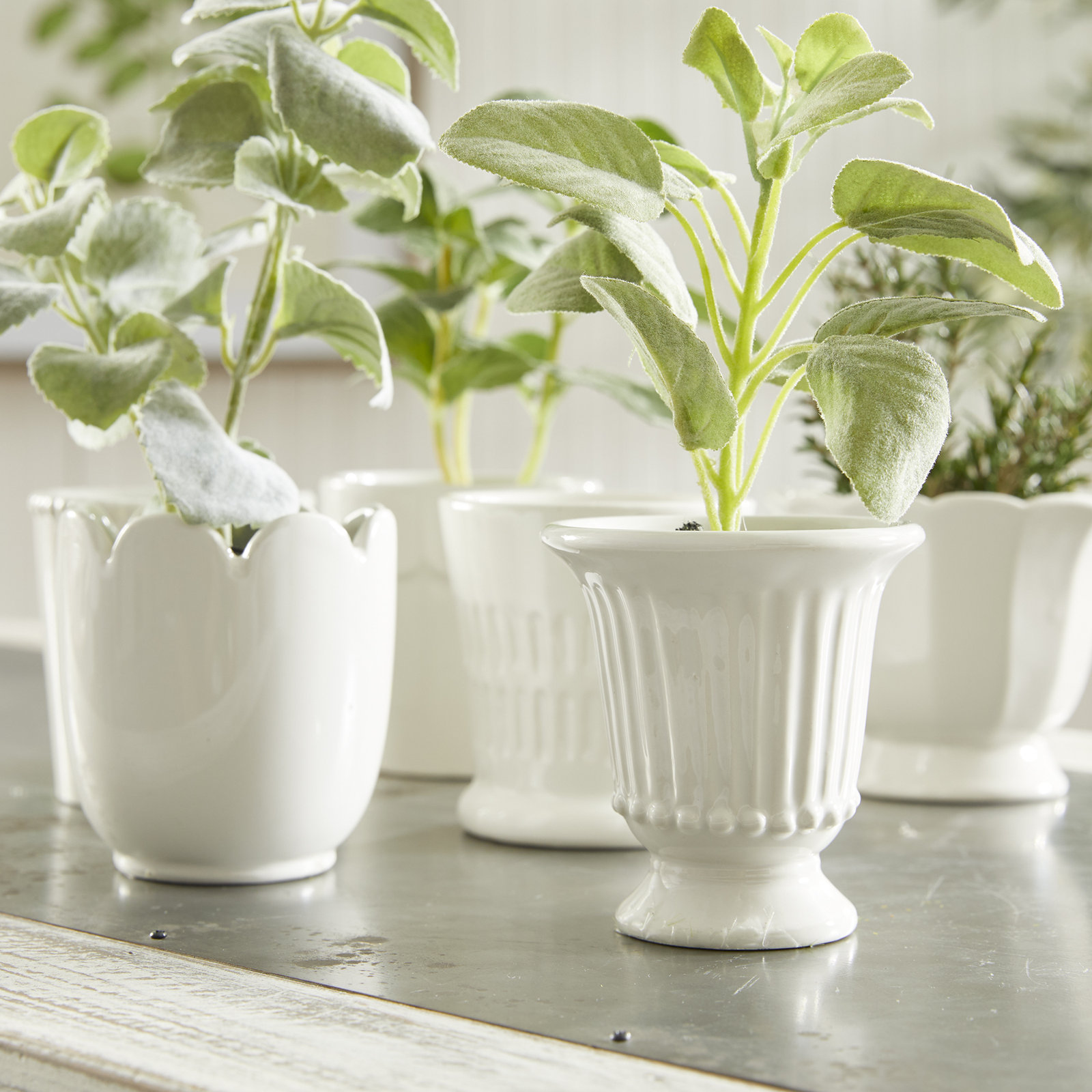 Ceramic Cachepot - Set of 6