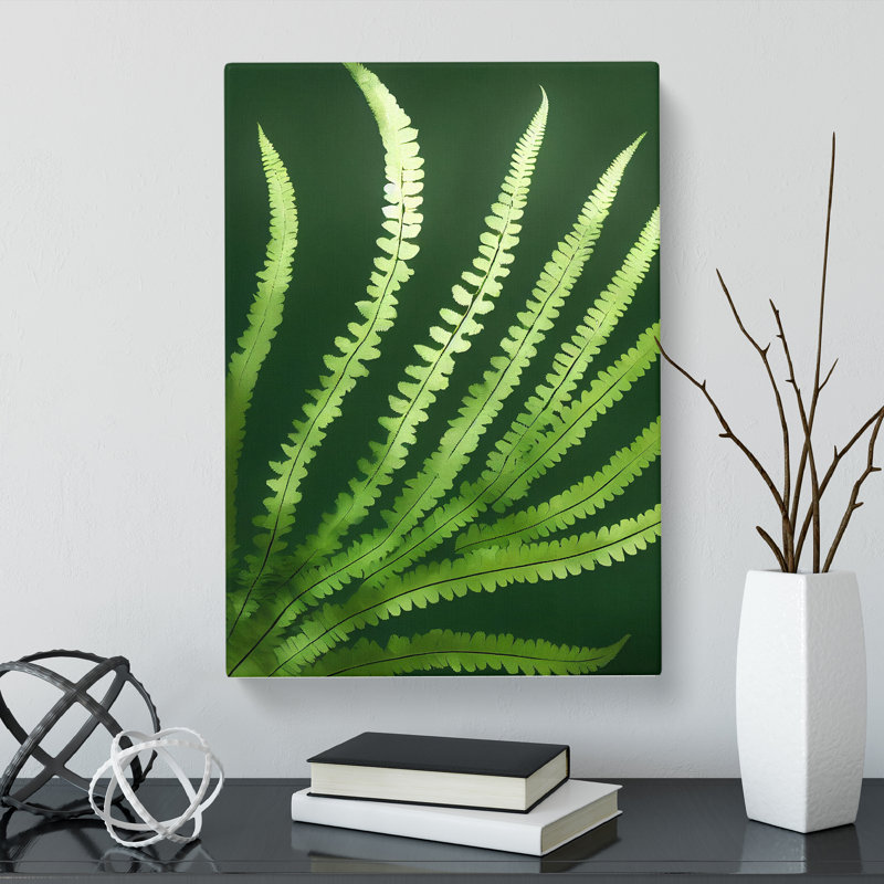 Talleyran Fern Leaf Beauty - Wrapped Canvas, 50cm H x 35cm W x 3cm D