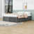 Gris antique