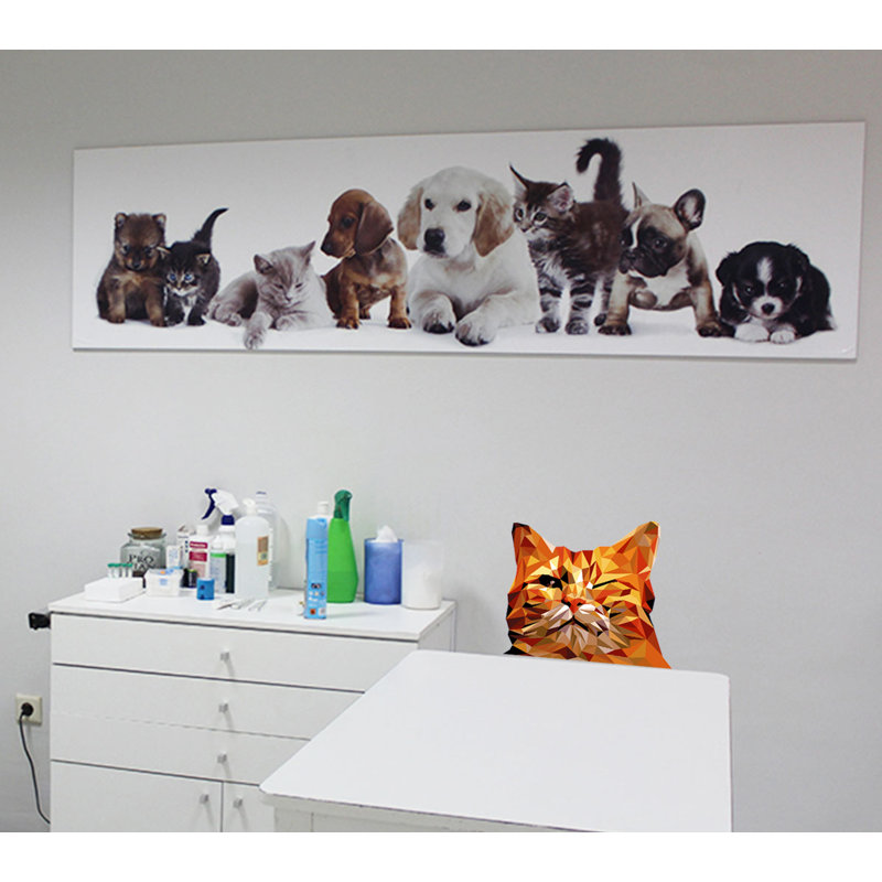 Animals Wall Decal, 10" H x 10" W