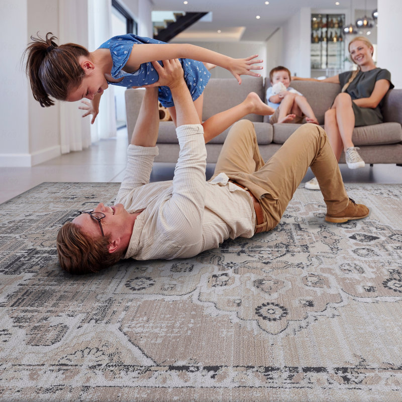 Non-Shedding Function Living Room Bedroom Dining Home Office Stylish And Stain Resistant Area Rug, Rectangle 2' x 3'