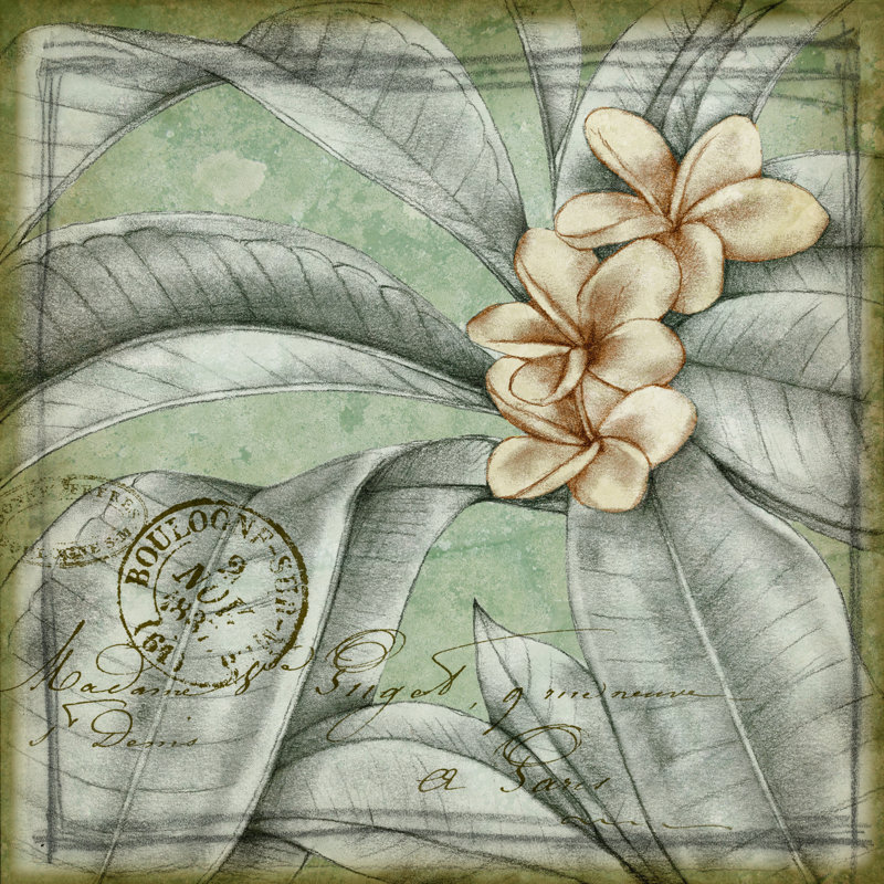 Postmark Tropicals I by Jennifer Goldberger - Wrapped Canvas Art Prints, 51cm H x 51cm W x 3.8cm D