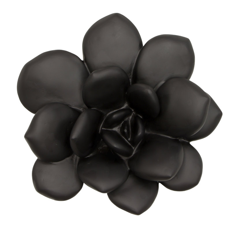 Laui Succulent Wall Decor