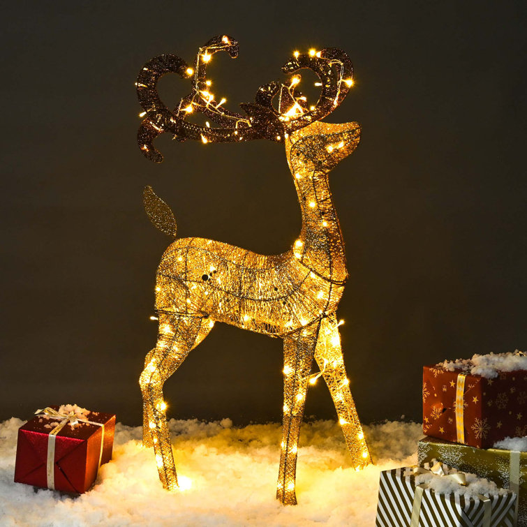 https://assets.wfcdn.com/im/08992284/resize-h755-w755%5Ecompr-r85/2246/224601141/Christmas+Reindeer+Lighted+Display.jpg