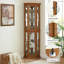 Vitrine de coin lumineuse-1356029253