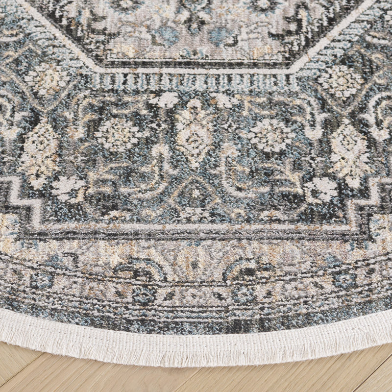 Allegonde Performance Oriental Rug, Round 4'