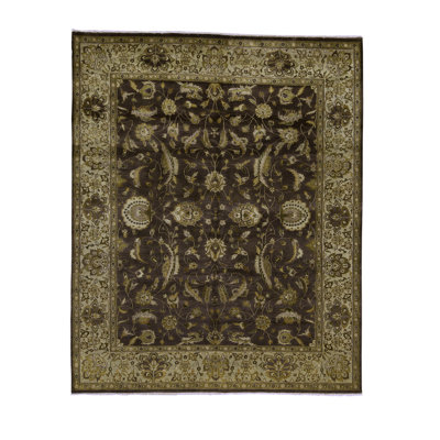 Wool Oriental Area Rug in Beige/Dark Brown/Olive
