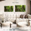 «Jungle Ferns Forest» sur toile-1335076299