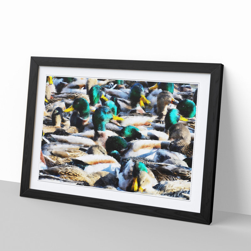 Mallard Ducks - Picture Frame Painting, Black Framed, 48cm H x 65cm W x 2cm D
