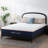 Medium Firm Memory Foam Mattress in a Box -644460127-650338882