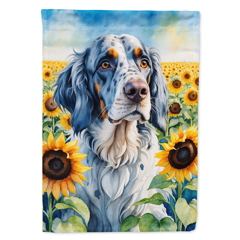 Lévrier irlandais dans le drapeau du jardin de tournesols, Setter anglais