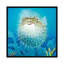 Art sur toile décoratif "fisher fish"-617059064-537246089-617059065