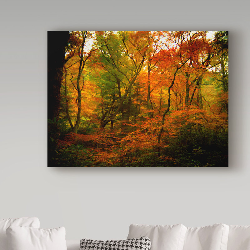 «Deep Woods» par Garv, reproduction de photo sur toile tendue, H 14 po x l 19 po x P 2 po