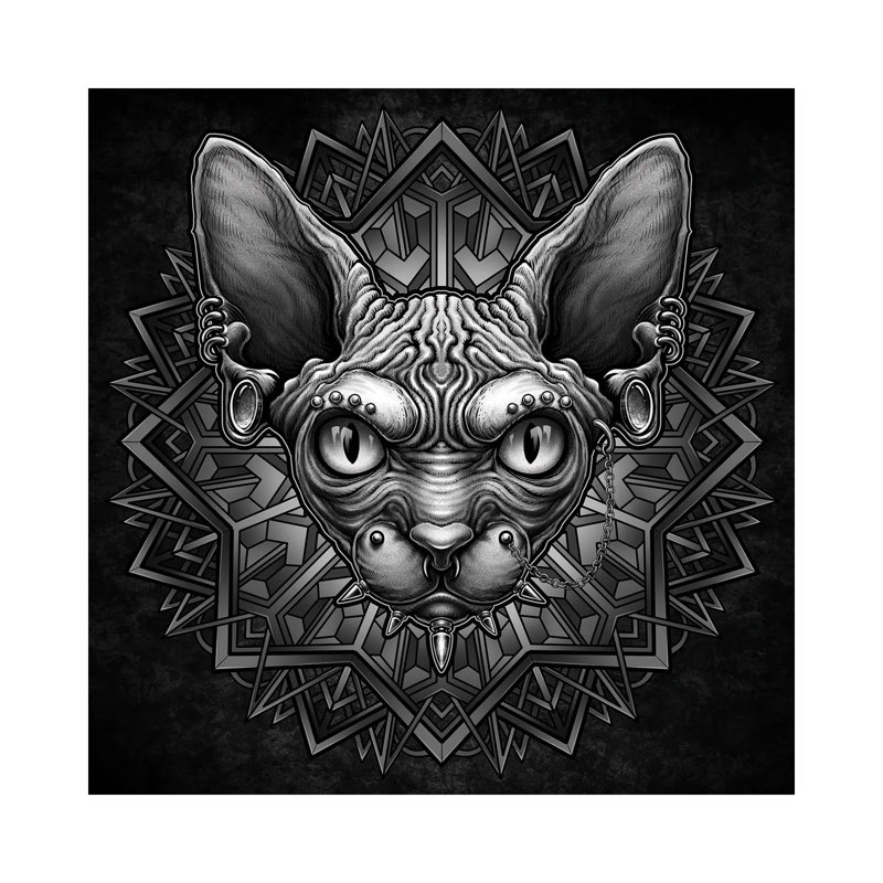 Punk Cat by Winya Sangsorn - No Frame Gallery-Wrapped Canvas Giclée on Canvas, 45.72cm H x 45.72cm W