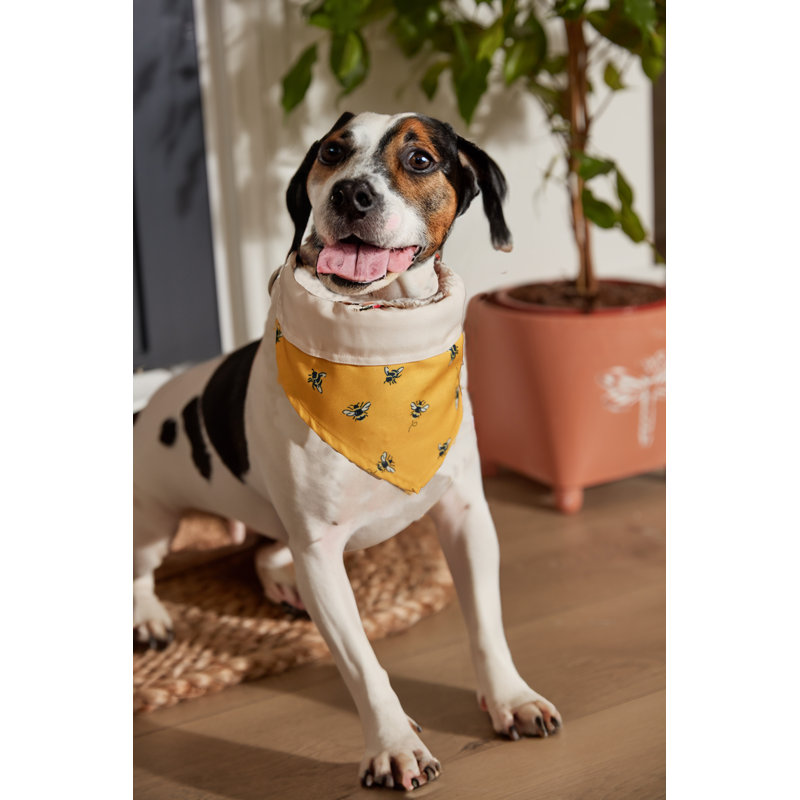 Busy Bee's Reversible Bandana