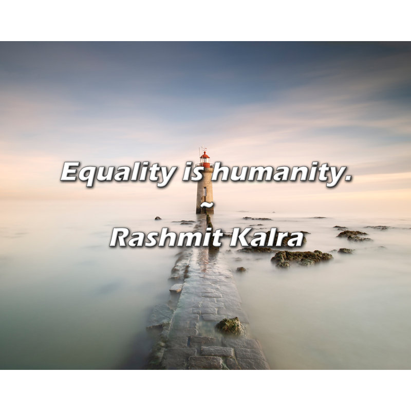 Citation de Rashmit Kalra: «L'égalité, c'est humain., H 26 po x l 32 po