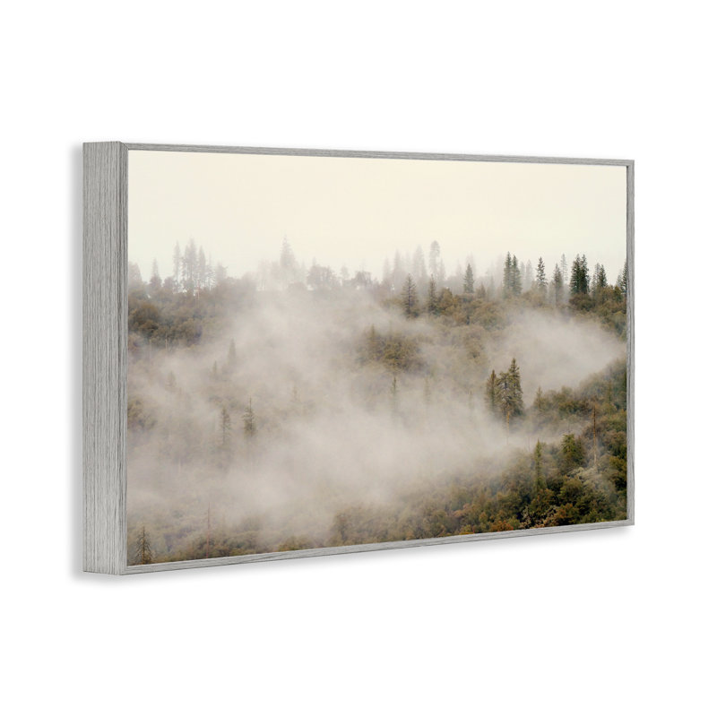 «Morning Fog over Trees», estampe numérique, design par Gemma Bardot, H 12 po x l 18 po, Estampe numérique Farmhouse