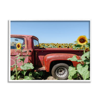 Camionnette rouge rétro au milieu d'un champ de tournesols - photographie sur toile à cadre flottant