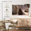 Phoque bronzant-1149917398