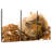 Sleeping Gerbils-478636453