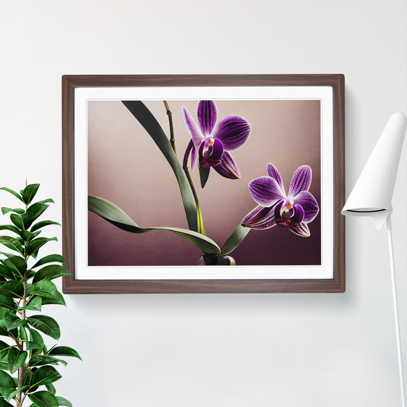 Bright Orchid Flowers - Single Picture Frame Print, 25cm H x 34cm W x 2cm D, Walnut Framed