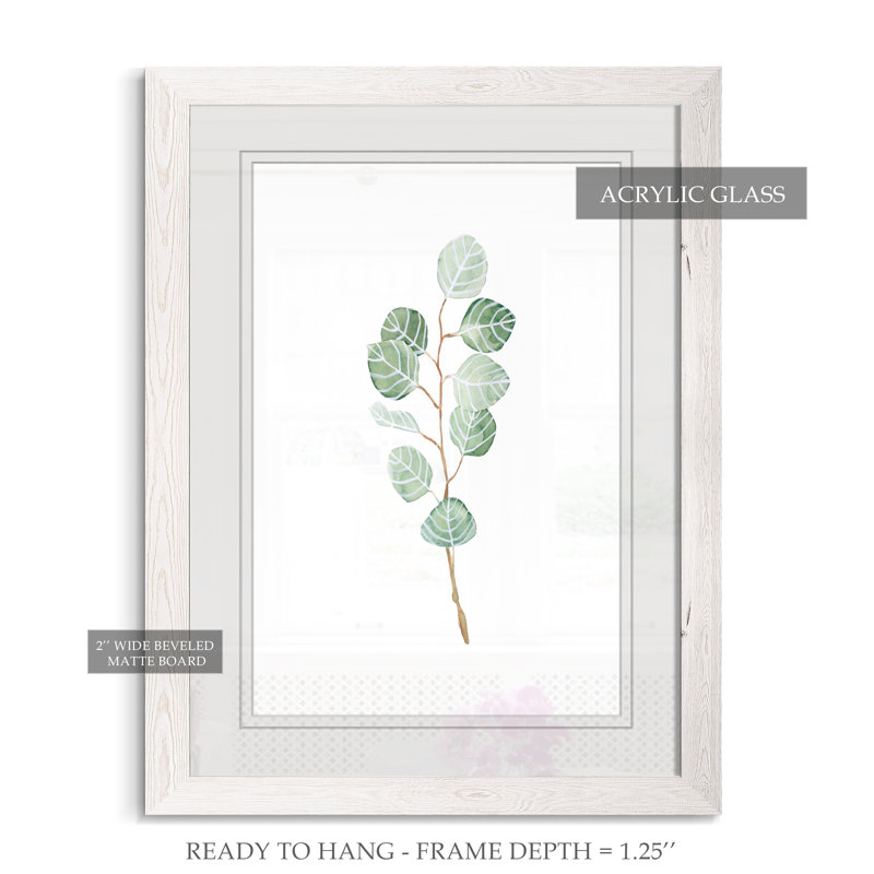 Douce branche d'eucalyptus III - Peinture encadrée sur papier, Cadre blanc, H 38 po x l 28 po x P 1,25 po