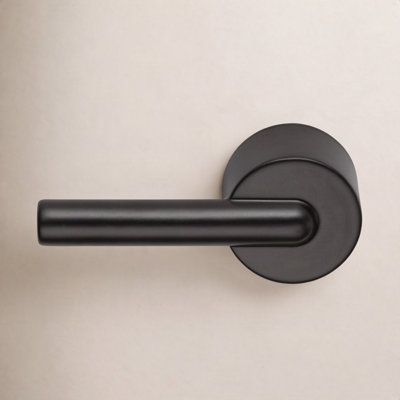 Trinsic Universal Toilet Flush Lever