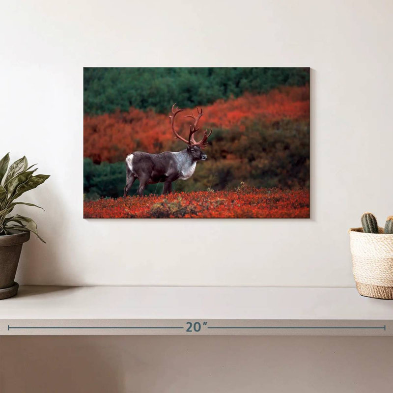 Caribou d'automne Brampt, H 8 po x l 12 po