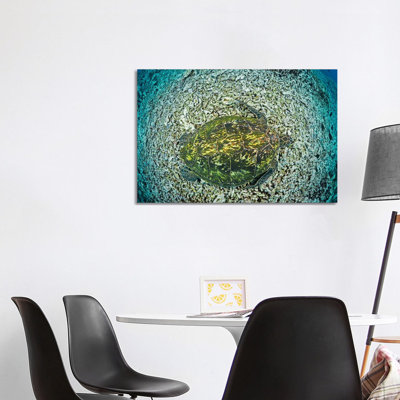 Green Sea Turtle, Chelonia Mydas, An Endangered Species, Hawaii II by David Fleetham - No Frame Gallery-Wrapped Canvas Giclée on Canvas