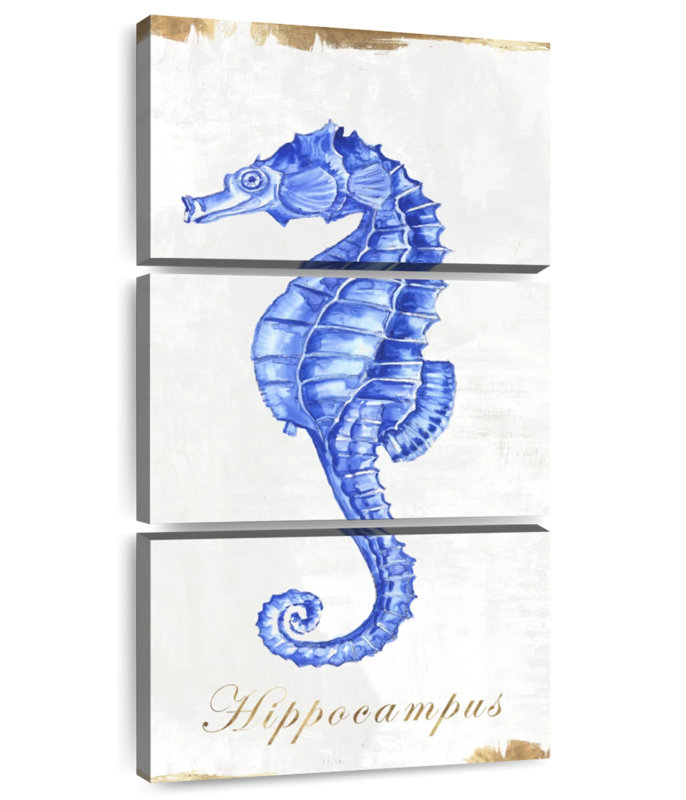 Hippocampe bleu