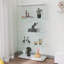 Vitrine en verre-669188706