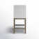 Bethea Upholstered Counter Stool (Set of 2)